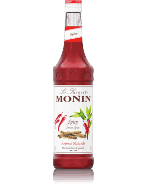 Monin Syrop Spicy 0,7 L